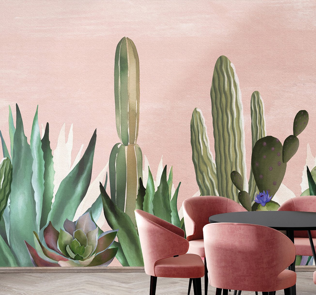 Read more about the article Captivating Cactii