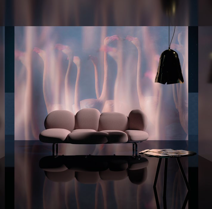 Read more about the article Evanescenze in Rosa