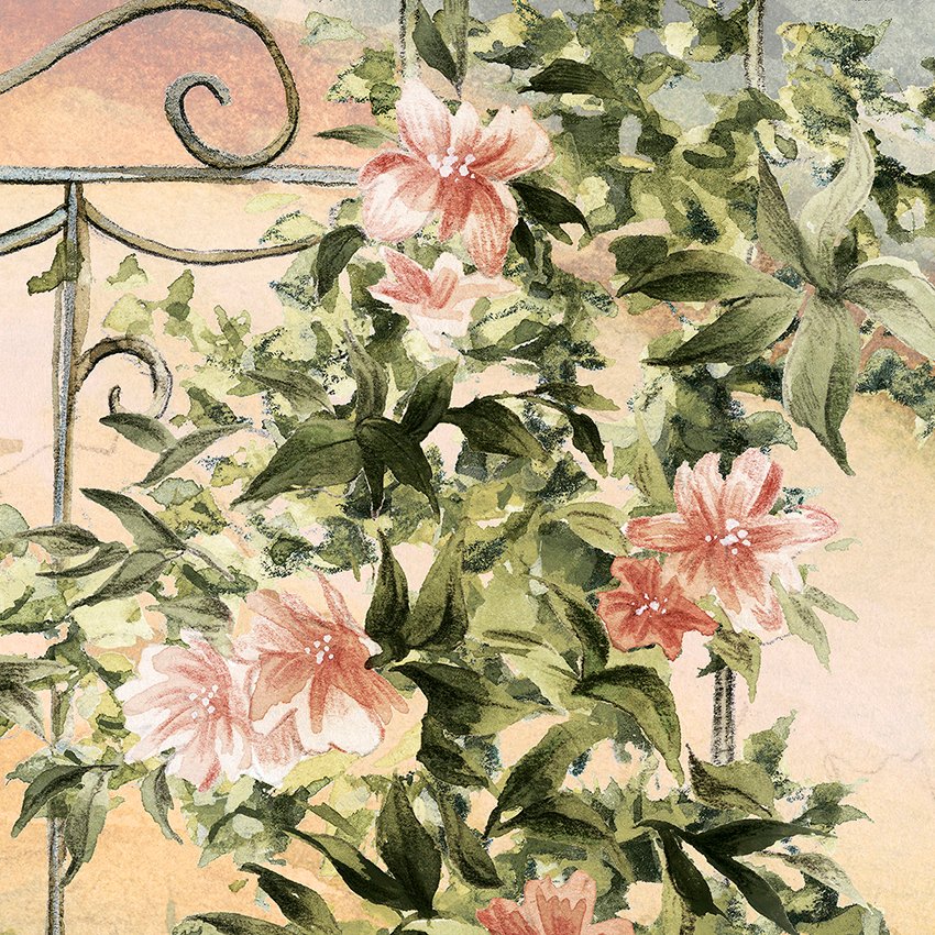 Read more about the article Provence