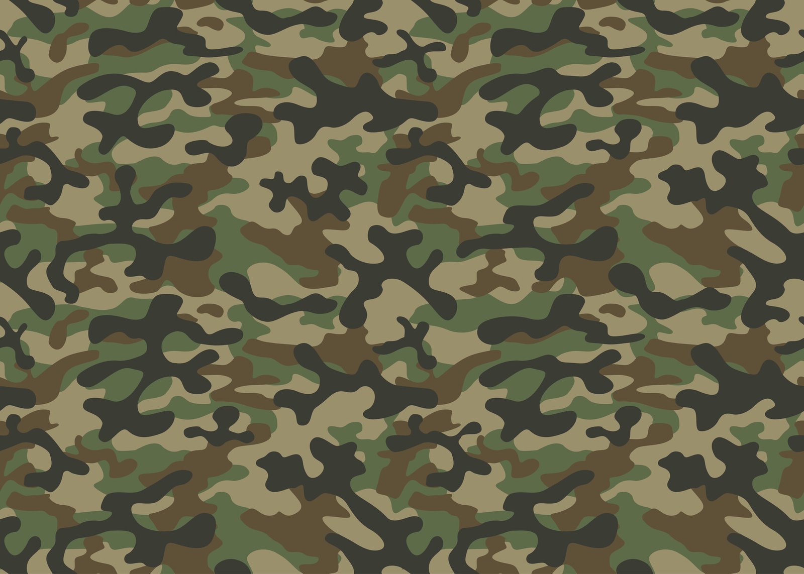 Read more about the article Camouflage