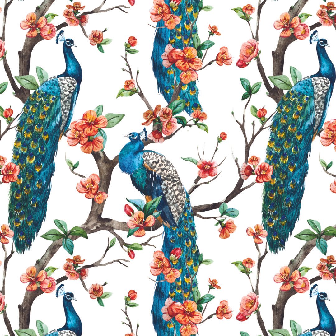 Read more about the article Plumage Spring