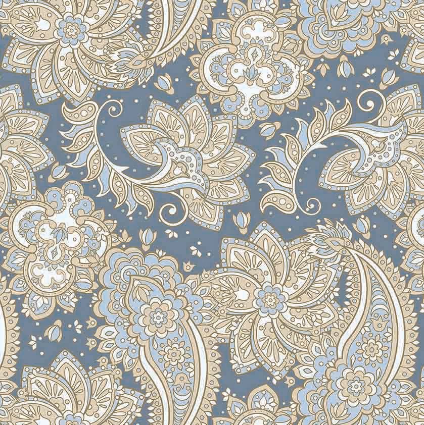 Read more about the article Serene Paisley