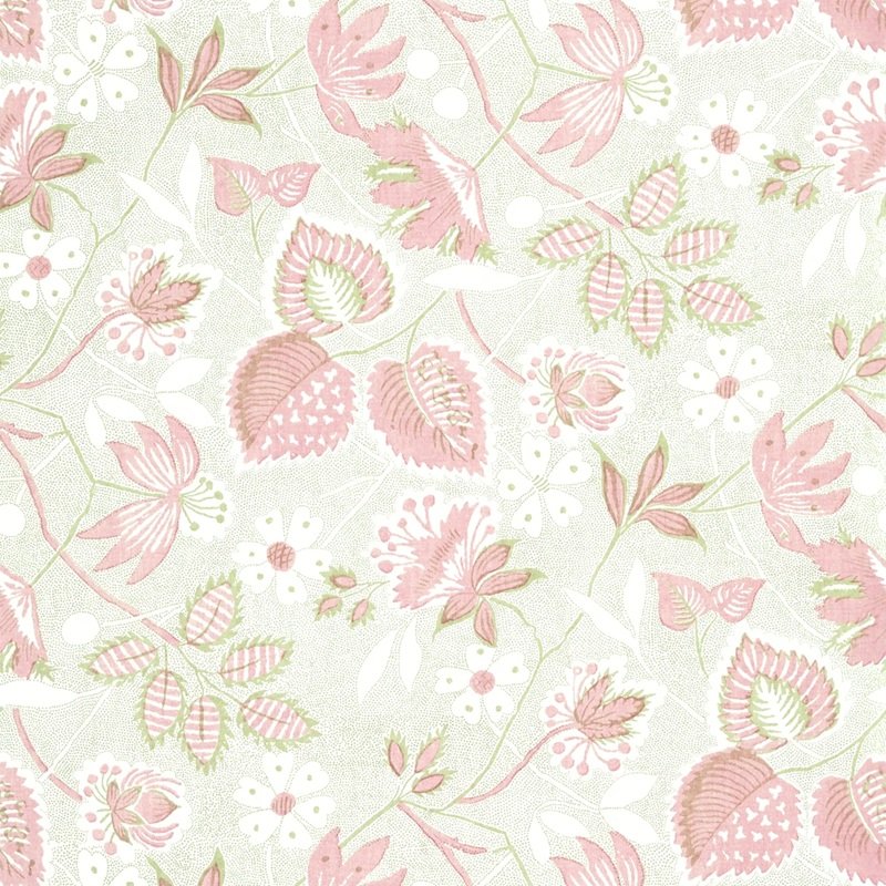 Read more about the article Antilles Indienne Hazel Blush