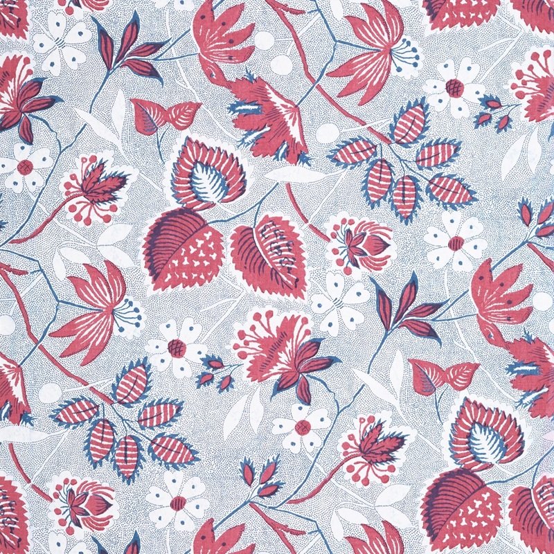 Read more about the article Antilles Indienne Hazel Red and Blue