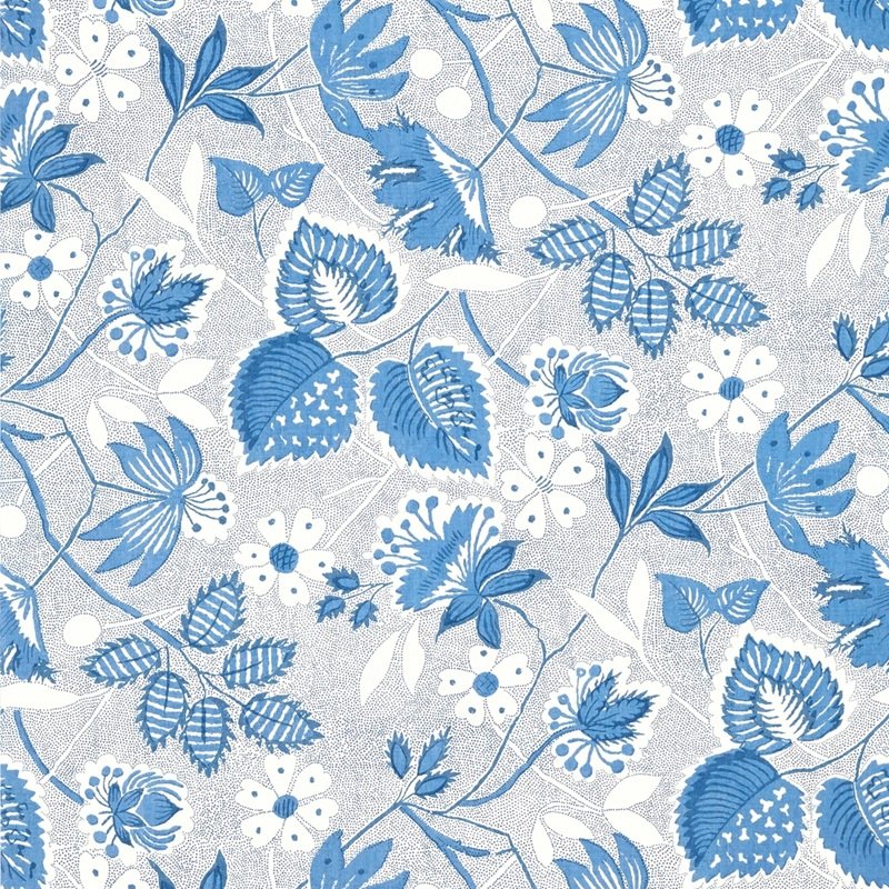 Read more about the article Antilles Indienne Hazel Blue