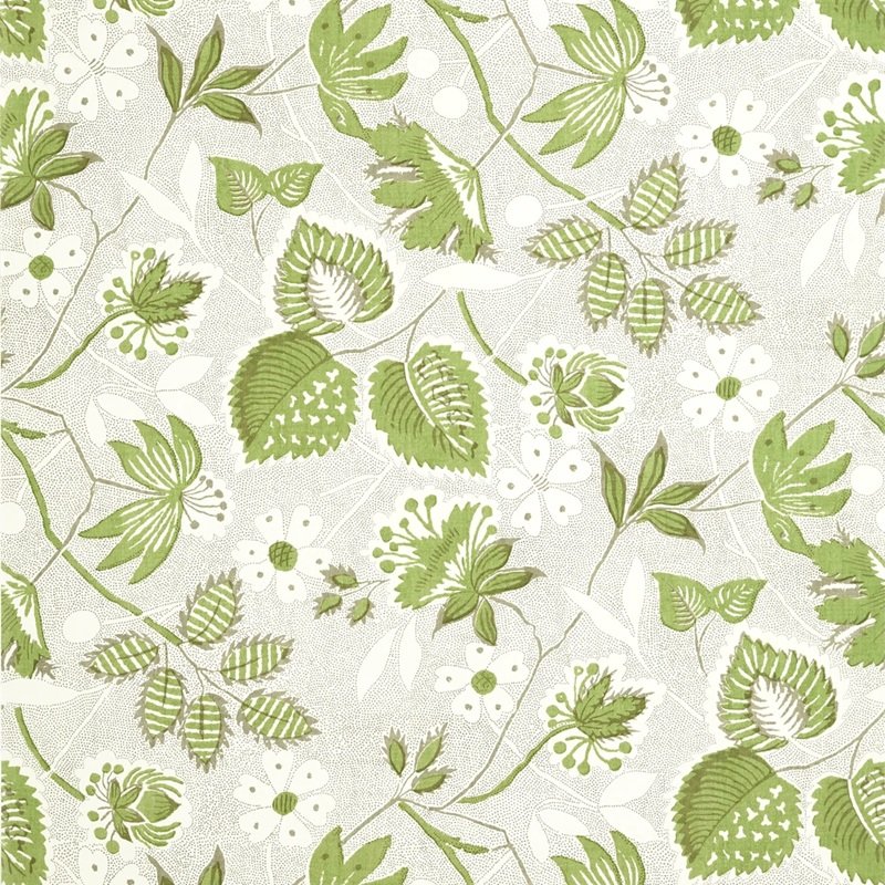 Read more about the article Antilles Indienne Hazel Green and Beige