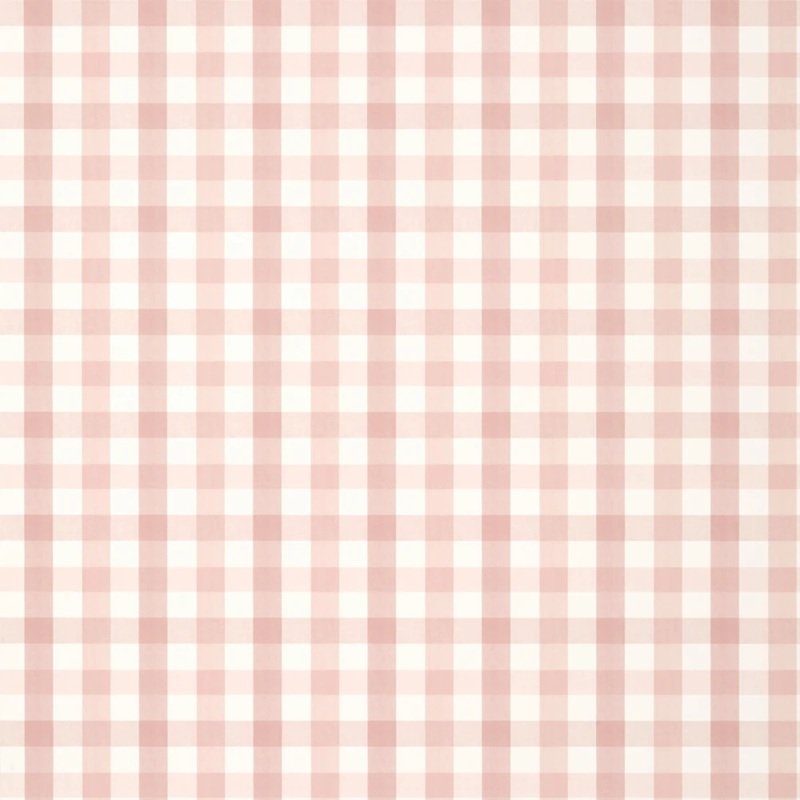 Read more about the article Antilles Saybrook Check Blush