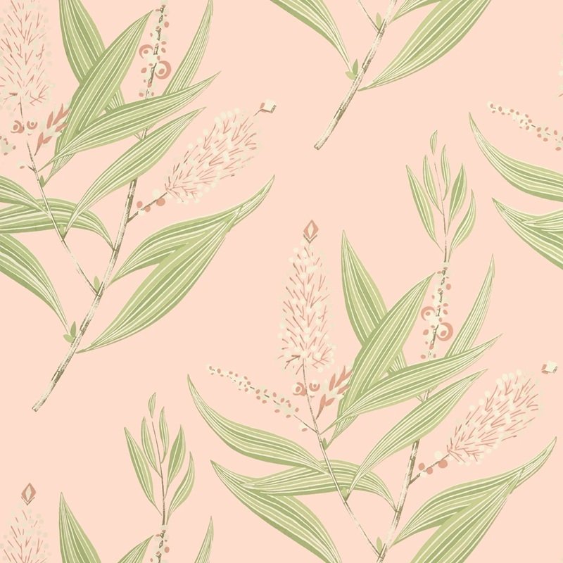 Read more about the article Willow Tree Winter Bud Blush