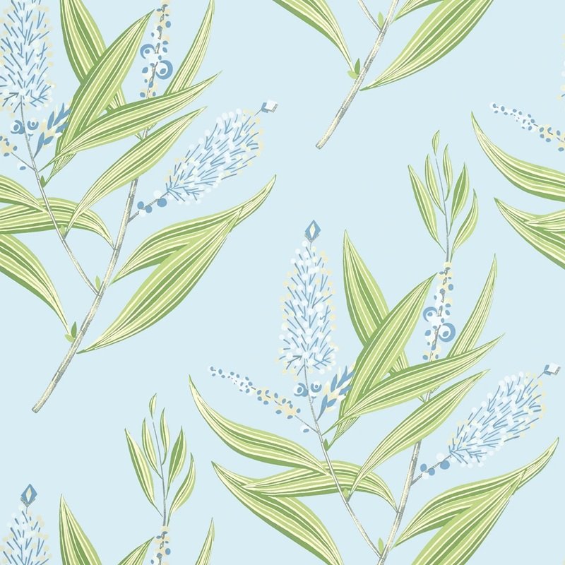 Read more about the article Willow Tree Winter Bud Soft Blue
