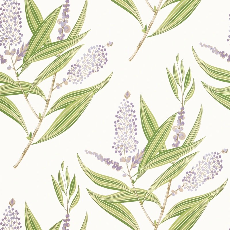 Read more about the article Willow Tree Winter Bud Lavender