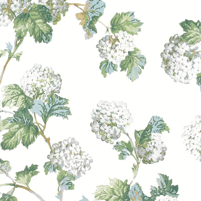 Read more about the article Bristol by Anna French Sussex Hydrangea White and Green