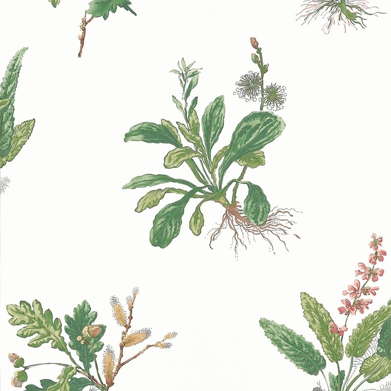 Read more about the article Bristol by Anna French Woodland Green and Blush