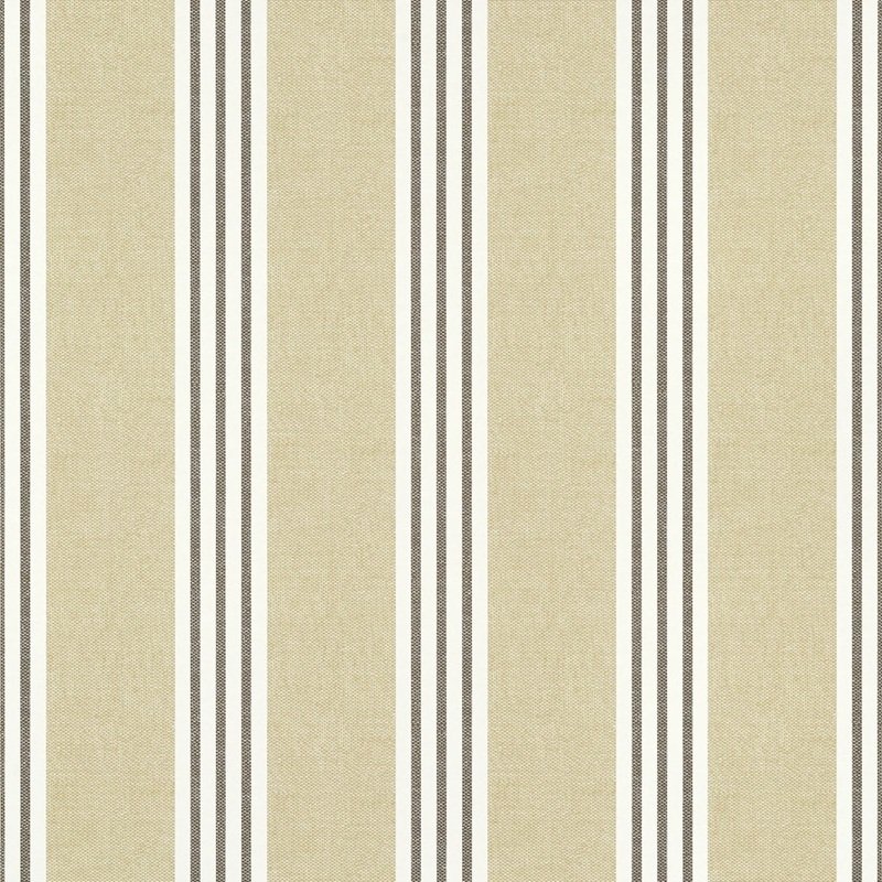 Read more about the article Pavilion Canvas Stripe Black