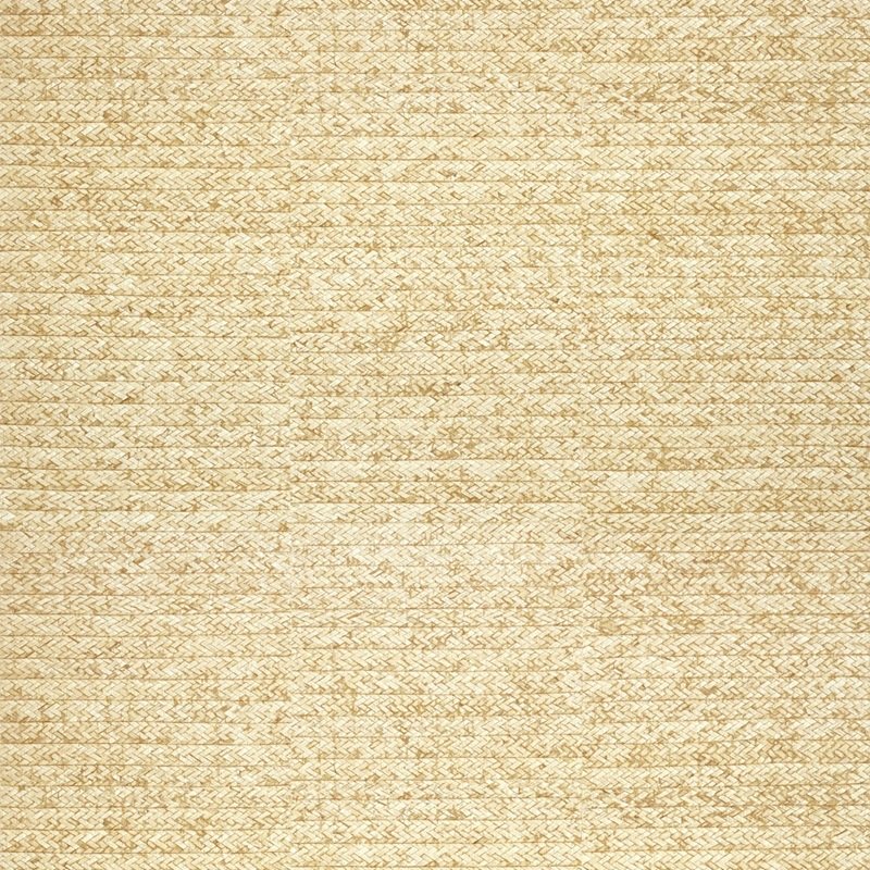 Read more about the article NATURAL RESOURCE 3 Pima Braid Straw