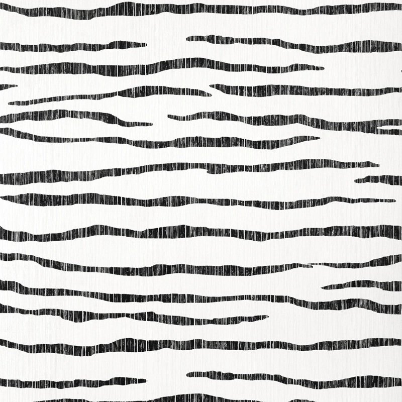 Read more about the article NATURAL RESOURCE 3 Savanna Black and White