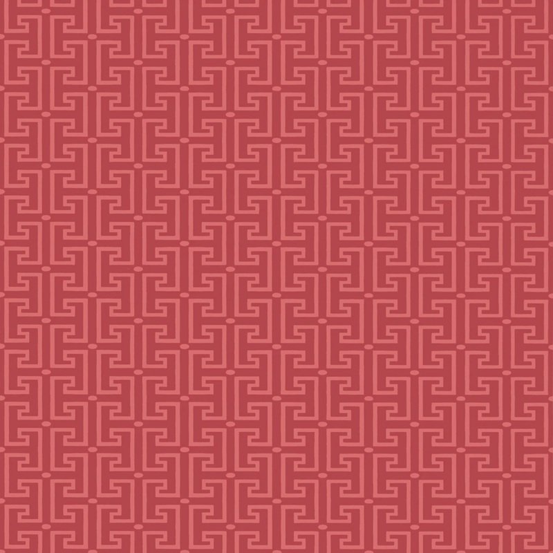 Read more about the article Eden T-Square Raspberry